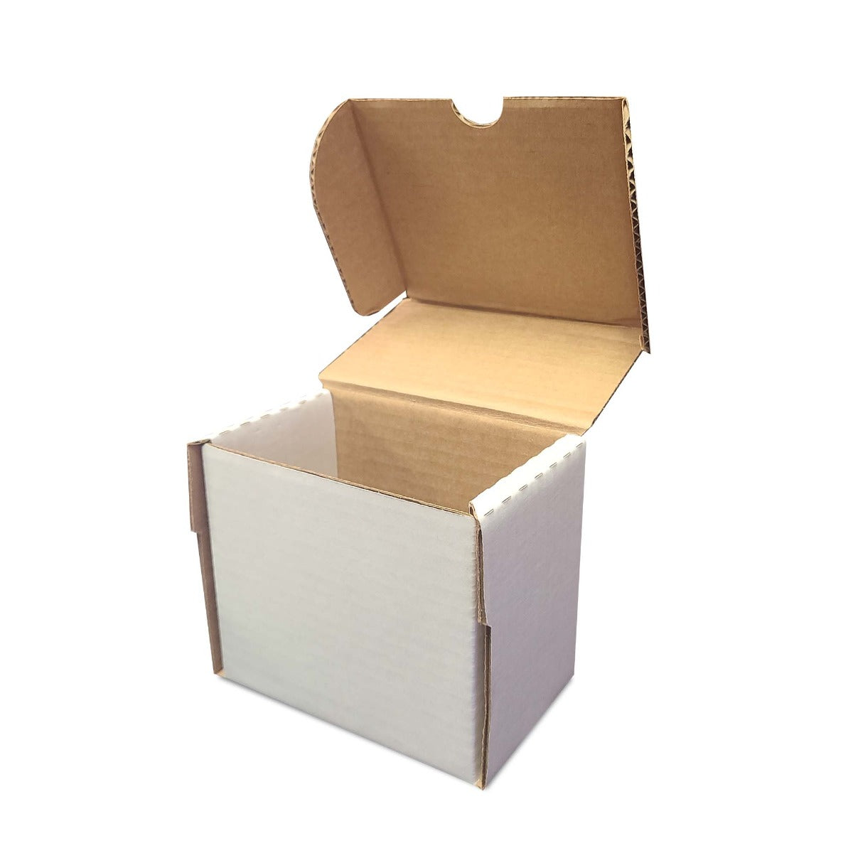 BCW Magnetics & Semi-Rigid #2 Storage Box - 5" EACH