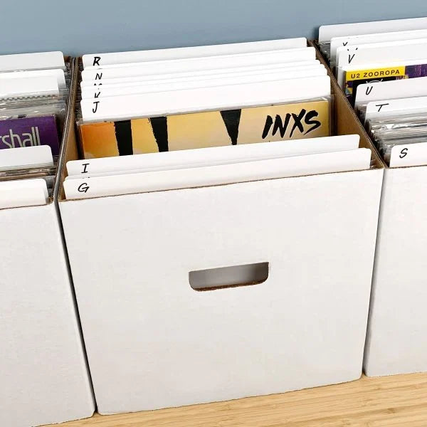 BCW 12-Inch Record Divider - Medium - White