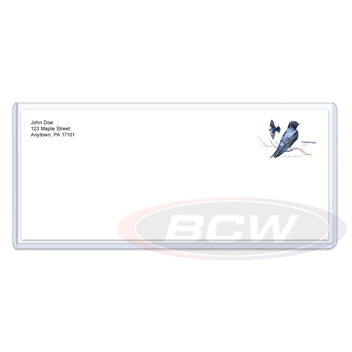 BCW Business Envelope #10 Topload Holder PACK